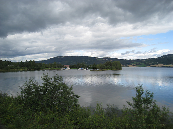 IMG_3889.JPG
