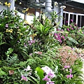 IMG_3209.JPG
