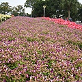 IMG_3291.JPG