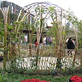 IMG_3658.JPG