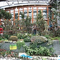 IMG_3175.JPG