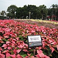 IMG_3289.JPG