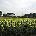 IMG_3509.JPG
