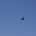 PICT1397.JPG