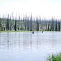 Yellowstone 1 2 days 272.jpg