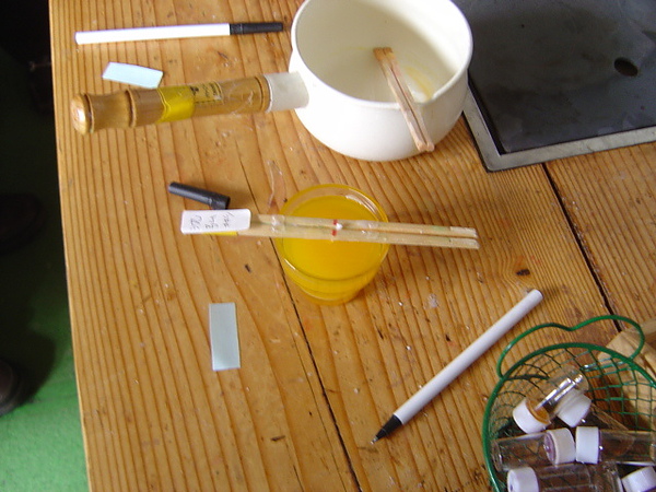 老公的DIY蠟燭~向日葵