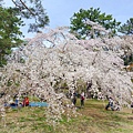 DSC02448.JPG