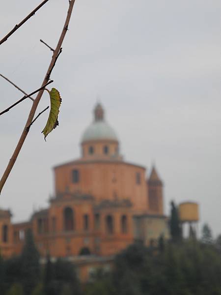 DSCN0169.jpg