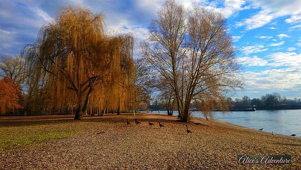 strand without snow medium.jpg