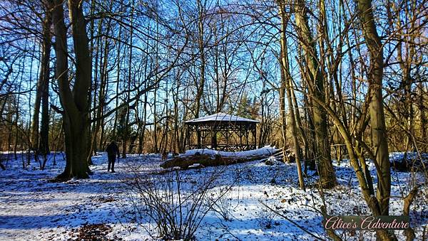 strand with snow medium.jpg