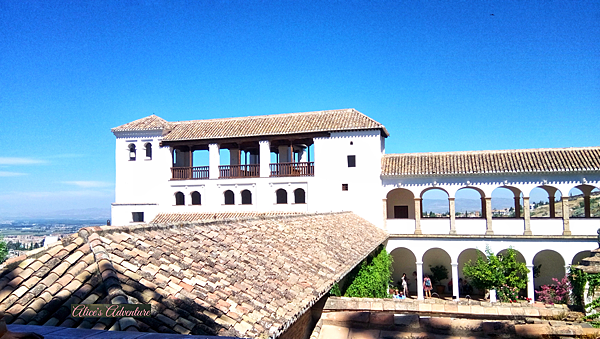 Patio de la Acequia.png