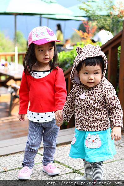 IMG_0812.JPG IMG_0812.JPG