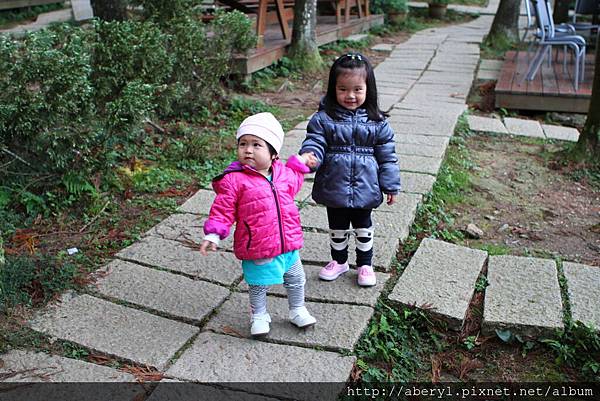 IMG_0989.JPG IMG_0989.JPG