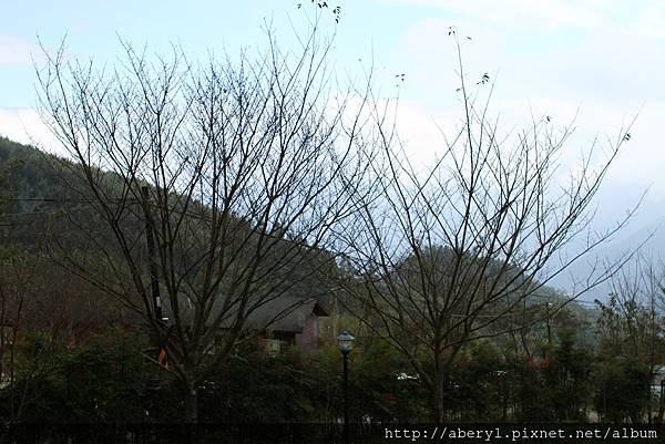 IMG_1060.JPG IMG_1060.JPG