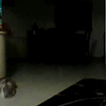 Video call snapshot 595.png