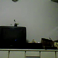 Video call snapshot 441.png