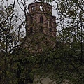 IMG_2539