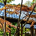 東福寺