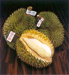 Durian.jpg