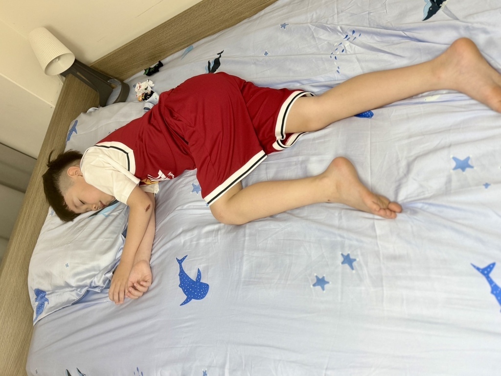 台灣製棉床本舖AlizzZ愛麗絲三折床墊 透氣舒適 讓孩子好