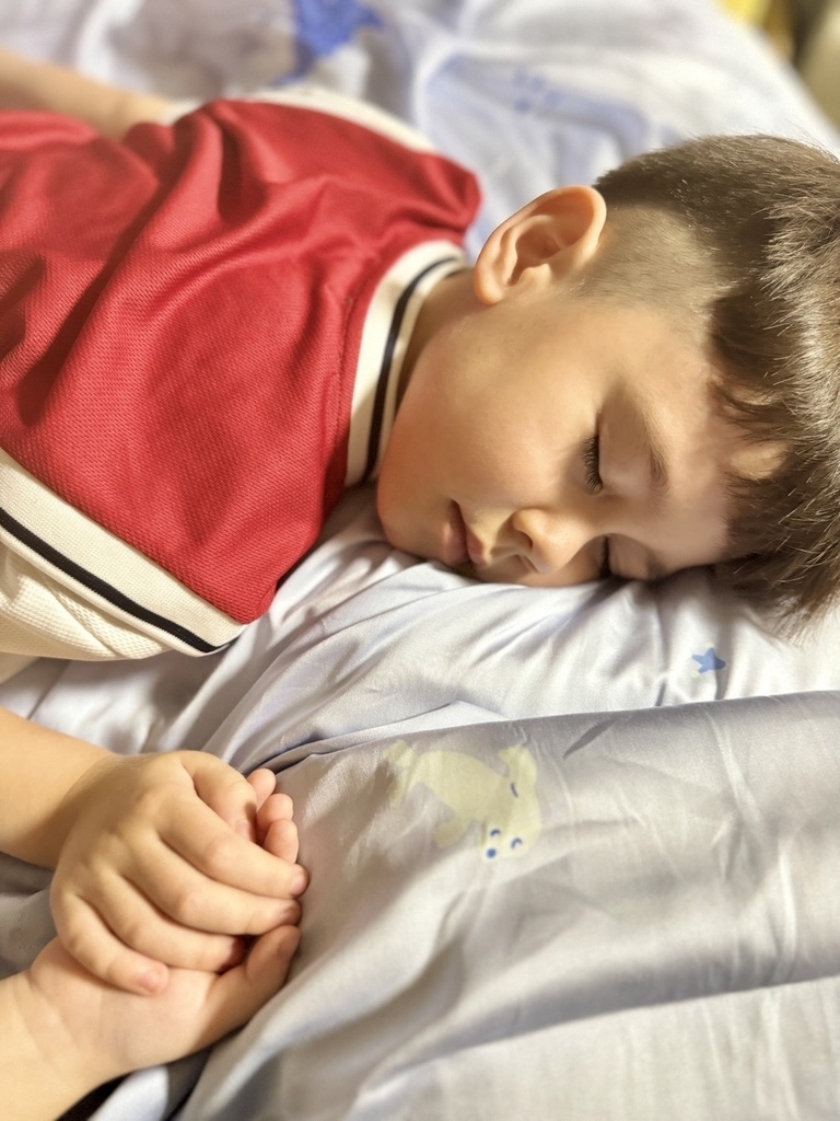 台灣製棉床本舖AlizzZ愛麗絲三折床墊 透氣舒適 讓孩子好