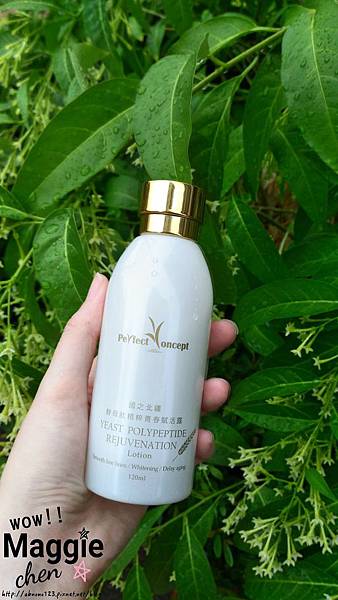 17-04-22-15-39-21-957_deco.jpg 17-04-22-15-39-21-957_deco.jpg