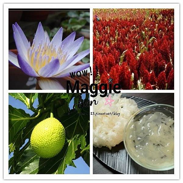 17-05-06-17-18-43-205_deco.jpg 17-05-06-17-18-43-205_deco.jpg