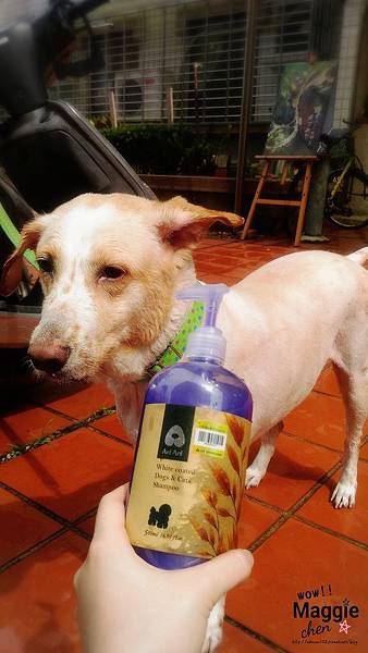 17-05-21-14-47-32-773_deco.jpg 17-05-21-14-47-32-773_deco.jpg