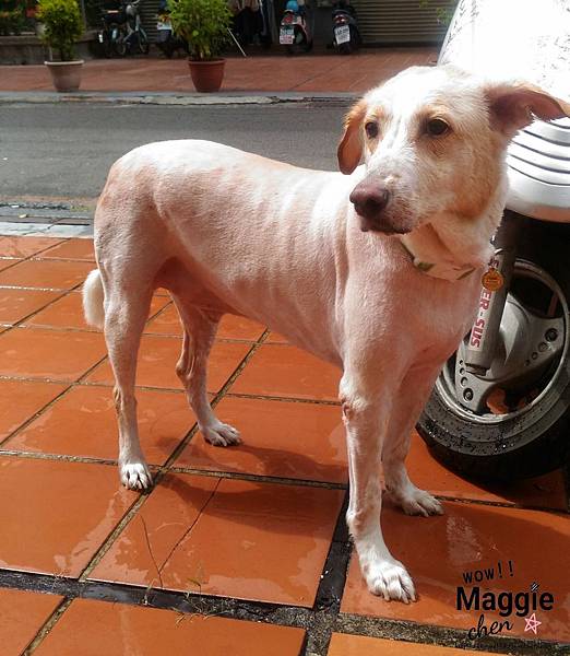 17-05-21-14-49-03-103_deco.jpg 17-05-21-14-49-03-103_deco.jpg