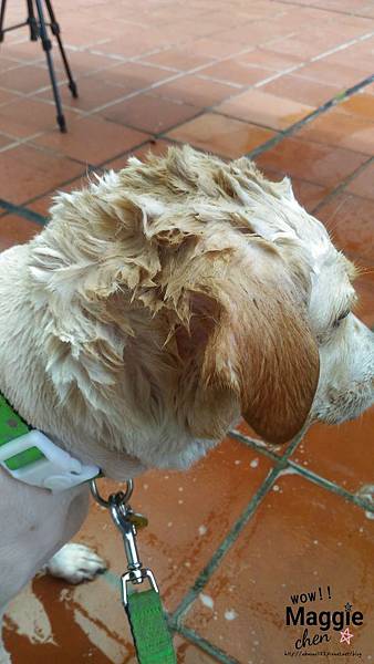 17-05-21-14-56-53-163_deco.jpg 17-05-21-14-56-53-163_deco.jpg