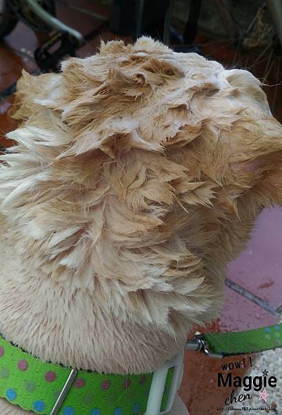 17-05-21-14-57-34-354_deco.jpg 17-05-21-14-57-34-354_deco.jpg