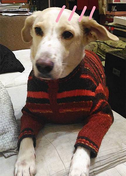 13782142_10206457116093399_5127749694013944709_n.jpg 13782142_10206457116093399_5127749694013944709_n.jpg