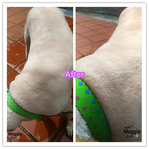 17-05-21-14-50-52-416_deco_副本.jpg 17-05-21-14-50-52-416_deco_副本.jpg