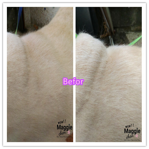 13782142_10206457116093399_5127749694013944709_n.jpg 13782142_10206457116093399_5127749694013944709_n.jpg