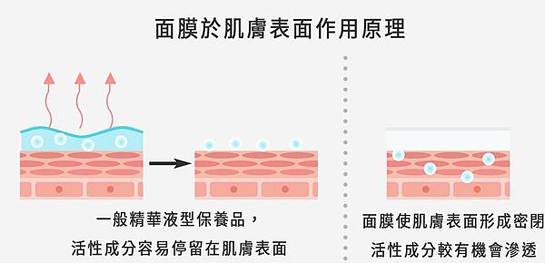 面膜作用原理