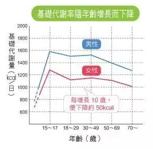 試用