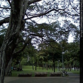 2011-10-12青年公園發傳單