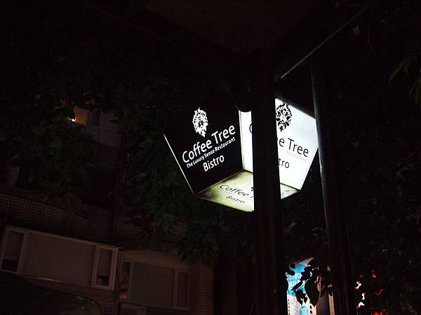 Coffee Tree 2nd visit