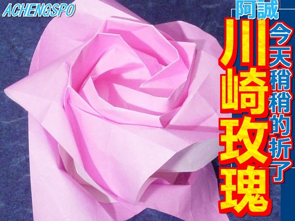 川崎玫瑰 KAWASAKI ROSE NEWS