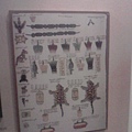IMG0008A.jpg