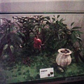 IMG0012A.jpg