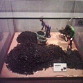 IMG0013A.jpg