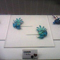 IMG0048A.jpg