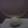 IMG0050A.jpg