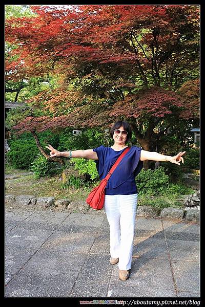 _MG_1843.JPG _MG_1843.JPG