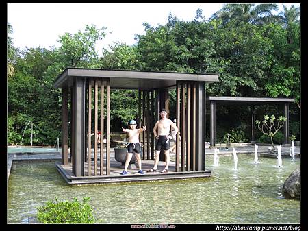 IMG_0786.JPG IMG_0786.JPG