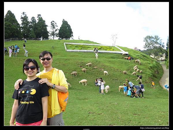 IMG_1213.JPG IMG_1213.JPG