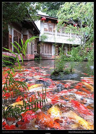 IMG_0842.JPG IMG_0842.JPG