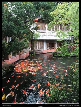 IMG_1719.JPG IMG_1719.JPG