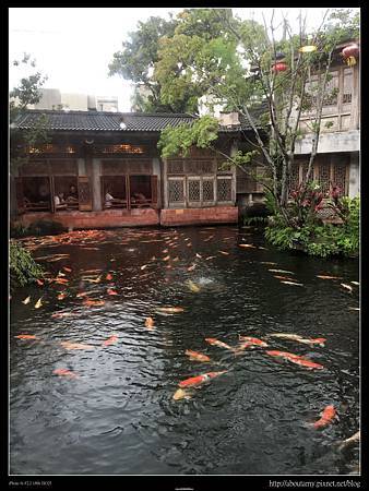 IMG_1720.JPG IMG_1720.JPG